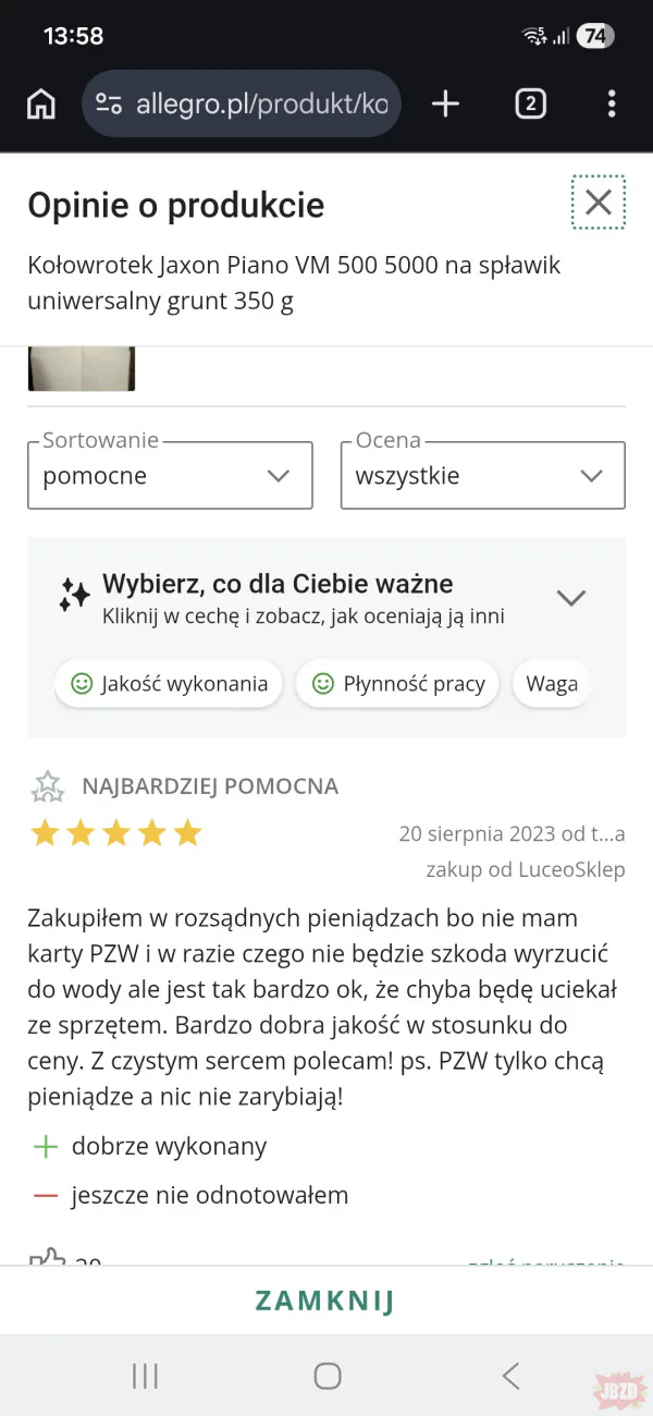 Pomocna opinia