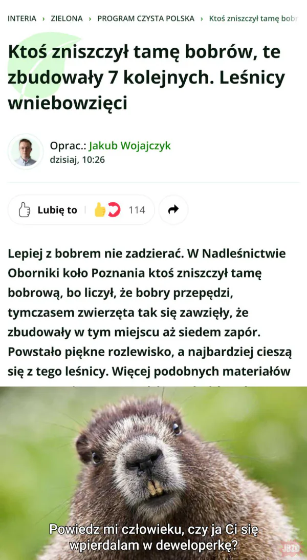Bober- tamy twoich marzeń