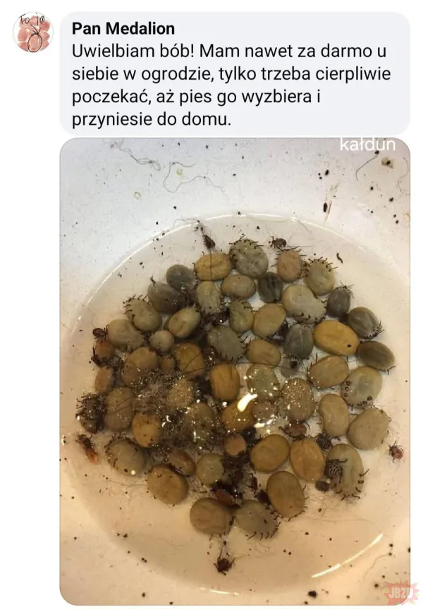 Mmm bób