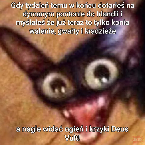 Lecz najbardziej mi żal...