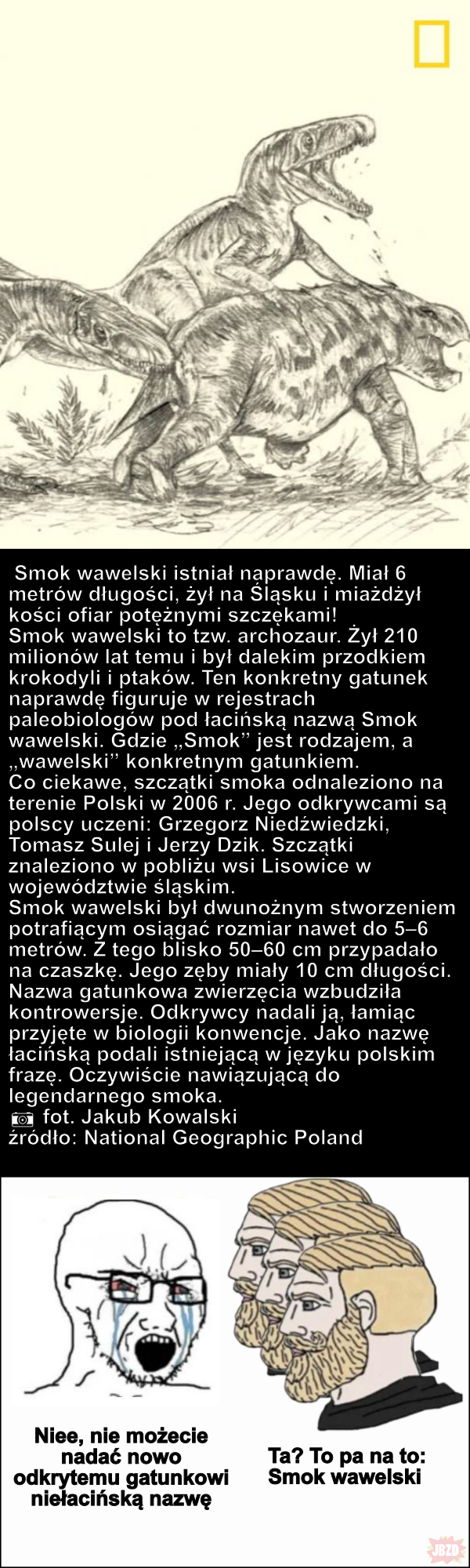 Smok wawelski>