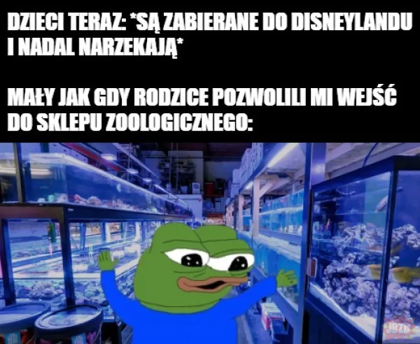 Darmowe ZOO