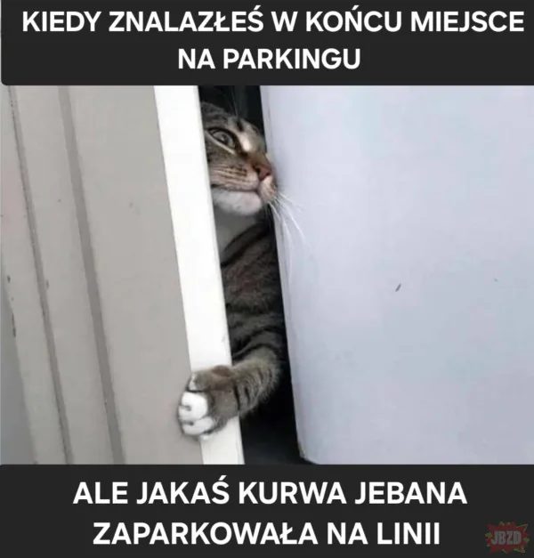 W dupę zajebana mać