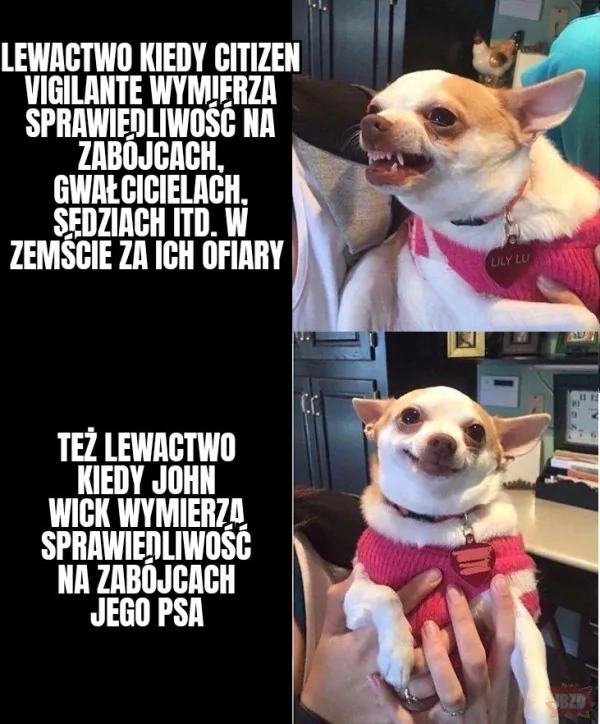 Psieci ponad ludzi