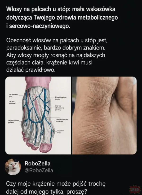 Ale jak one mogą tam rosnąć jak tam śmierdzi i nie ma dostępu do słońca.