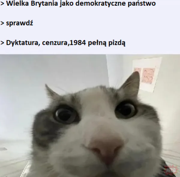 Anglia to już nie jest normalne państwo tylko komuna