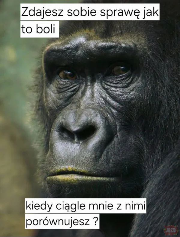 Dyskryminacja Goryli