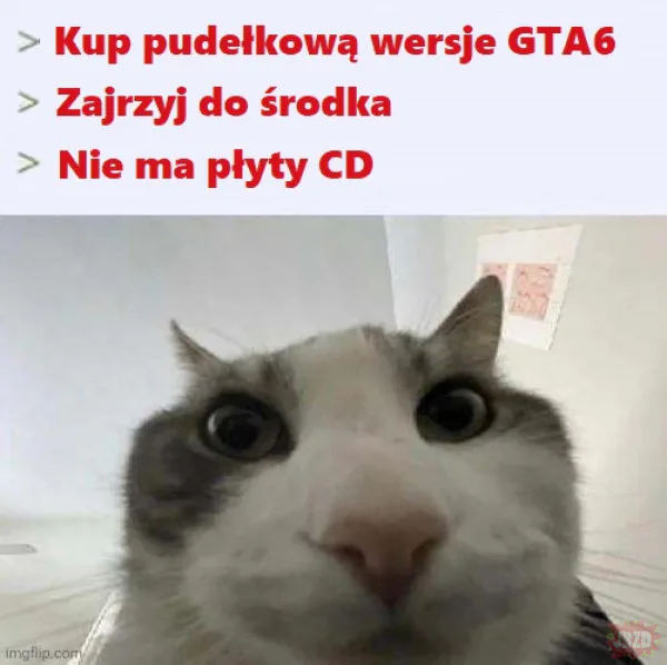 Pudełkowa wersja GTA 6