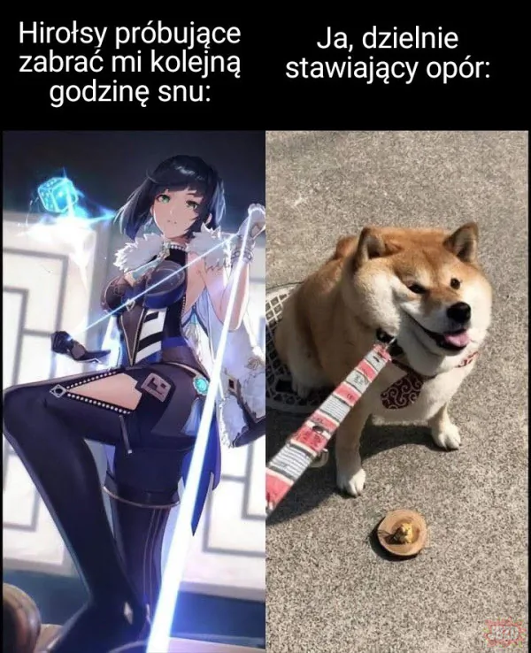 Kuszenie anona