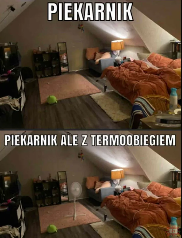 ZACZYNA SIĘ!