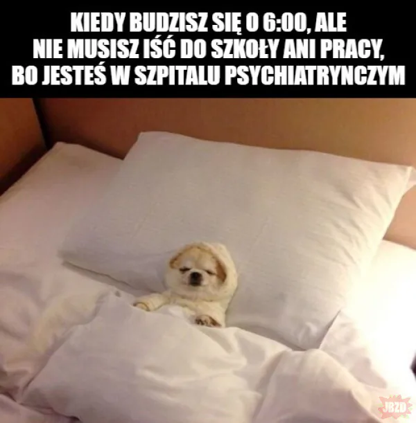 Mój bezpieczny śpiulkolot