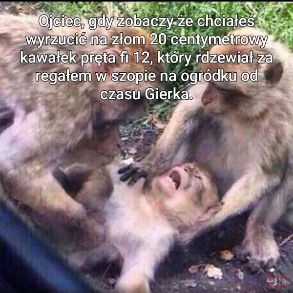 Krystyna, on mym synem nie jest
