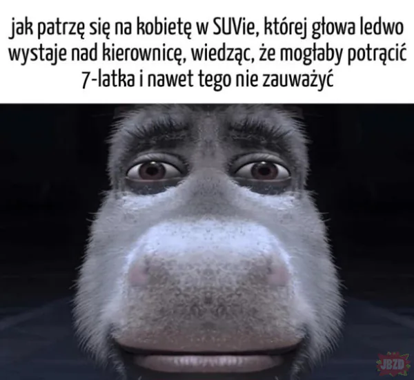 A mówi że potrzebuję dużego samochodu, mimo tego że wozi ze  sobą tylko torebke