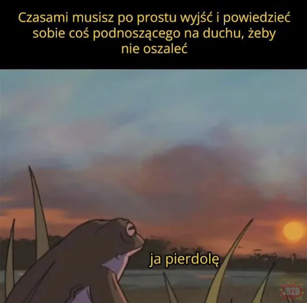 Lajf
