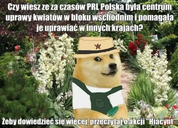 Tak
