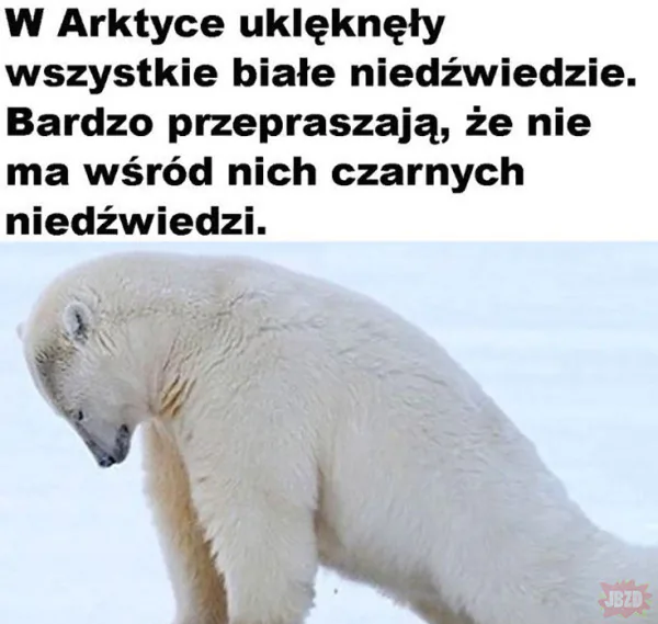 lewackie media z ostatniej chwili
