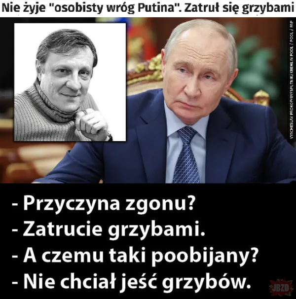 grzyby to ZUO.