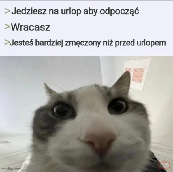 Urlop