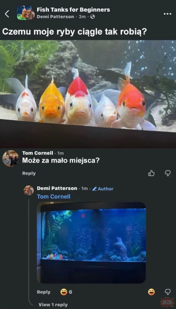 Gdzie jest Nemo