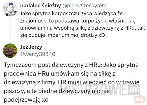 korposzczurzyca