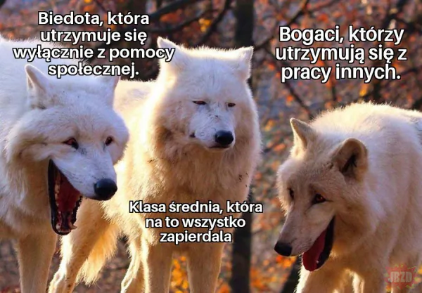 Średnio czyli nieźle