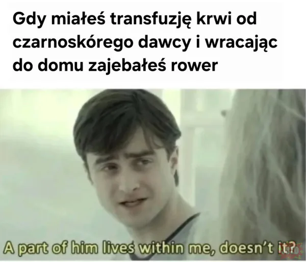 Transfuzja nasycenie brzmieniem