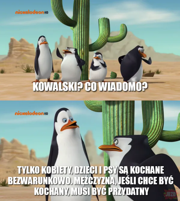 Dzida z Pingwinami z Madagaskaru #310