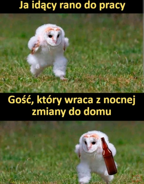 Nocna Zmiano! Nadchodzimy
