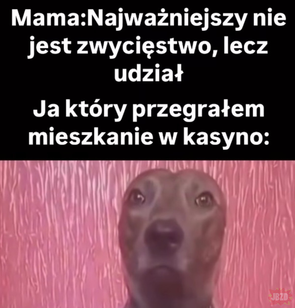 Masz rację mamo>