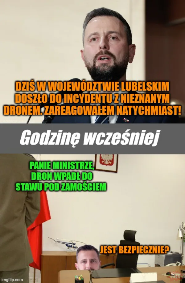 Tygrysek Europy