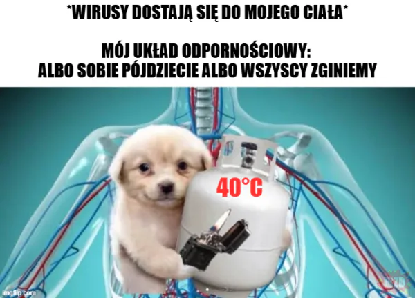 Gorączka