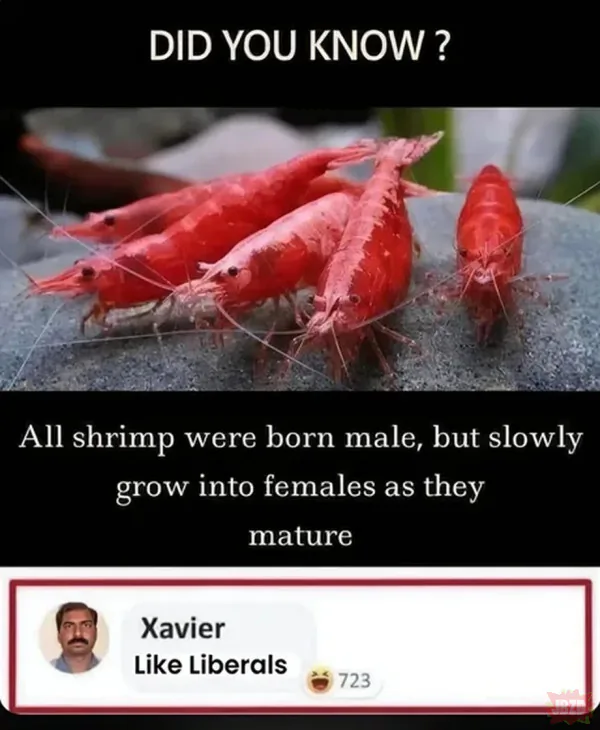 Don't be a cunt xD