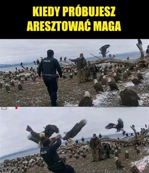 Mag