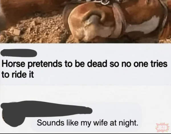 Wife.