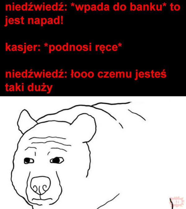 Jak to jest być niedźwiedziem>