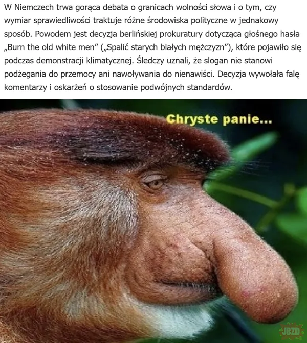 Fajne te niemcy