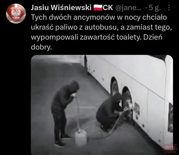 Dzień dobry