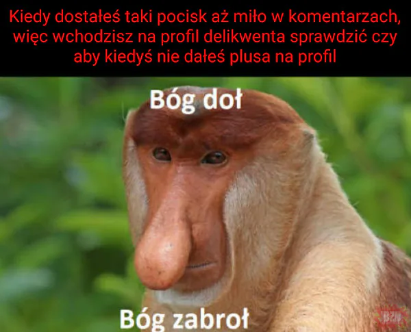 Nie zesraj się jeszcze