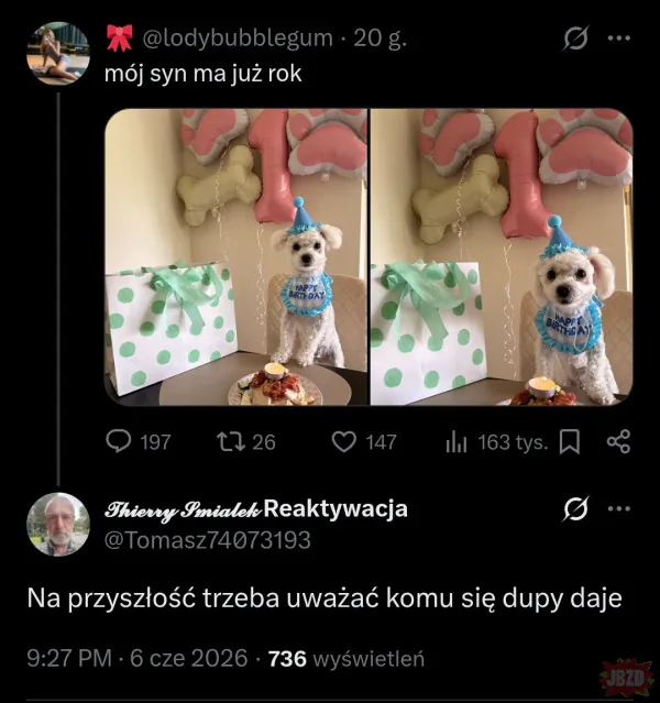 Pies jebał twoje psiecko