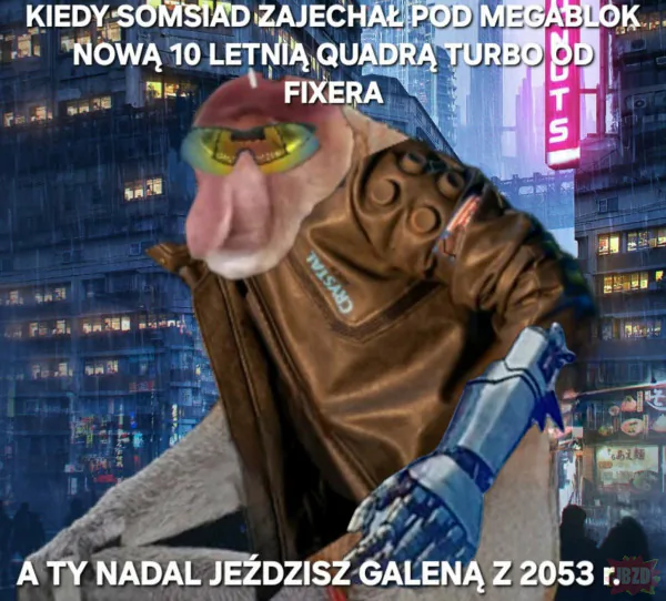 Cymbergaj 2137
