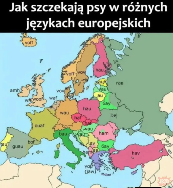 Dej Dej Dej! Ała! Gryzie!