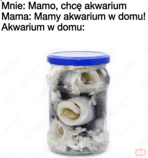 Idealne akwarium dla naszego hodowcy jesiotrów