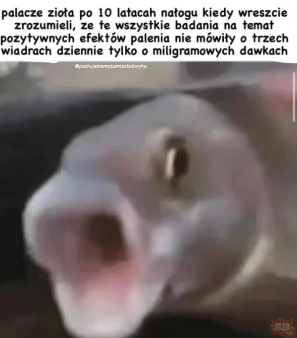 Ćpuny do wora...