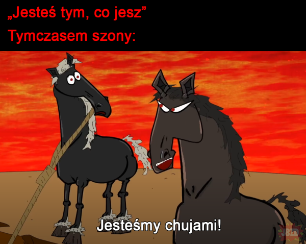 Nie jesteśmy koniami>