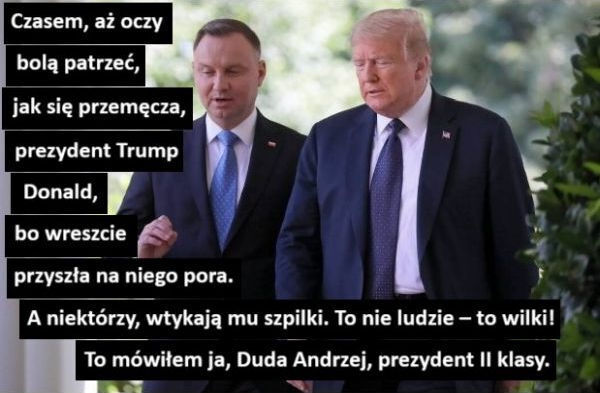 Czasem, aż oczy
bolą patrzeć,
jak się przemęcza,
prezydent Trump
Donald,
bo wreszcie
przyszła na niego pora.
A niektórzy, wtykają mu szpilki. To nie ludzie - to wilki!
To mówiłem ja, Duda Andrzej, prezydent II klasy.>