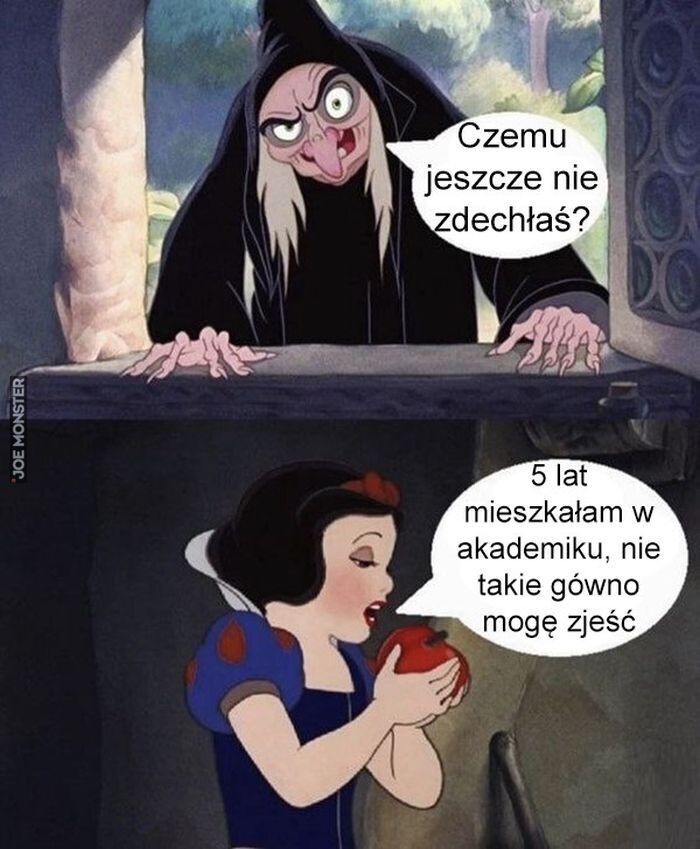 Czemu jeszcze nie zdechłaś? 5 lat mieszkałam w akademiku, nie takie gówno mogę zjeść>