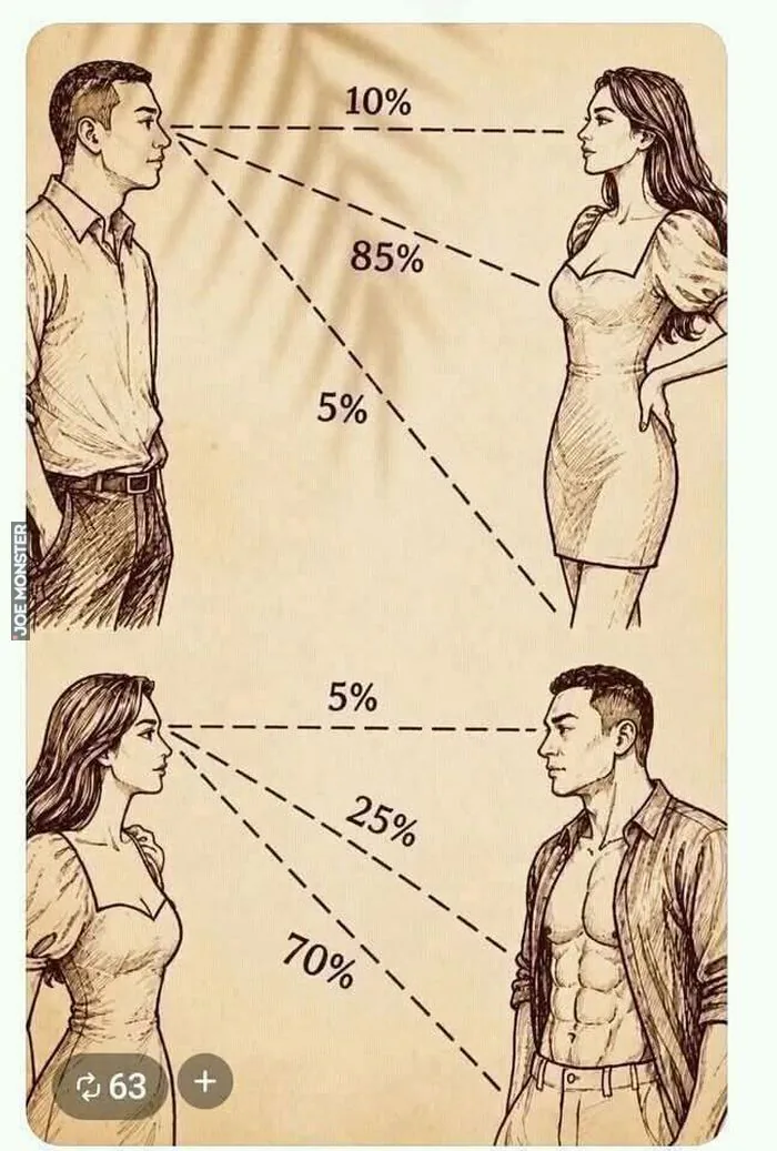 10%, 85%, 5%, 5%, 25%, 70%