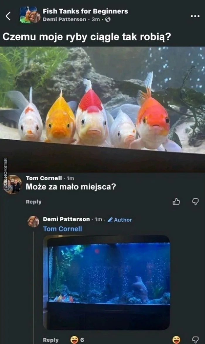 Fish Tanks for Beginners (Angielski) / Akwaria dla Początkujących (Polski)
Czemu moje ryby ciągle tak robią?
Może za mało miejsca?