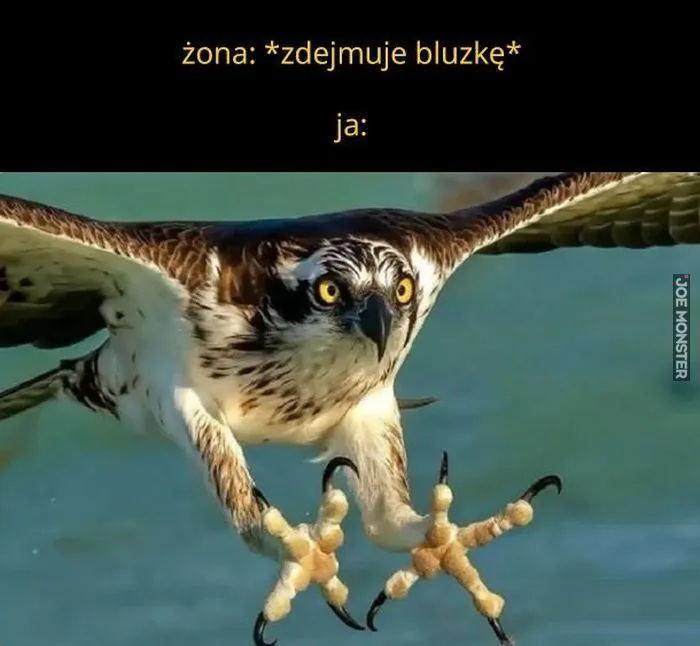 żona: *zdejmuje bluzkę*
ja:
