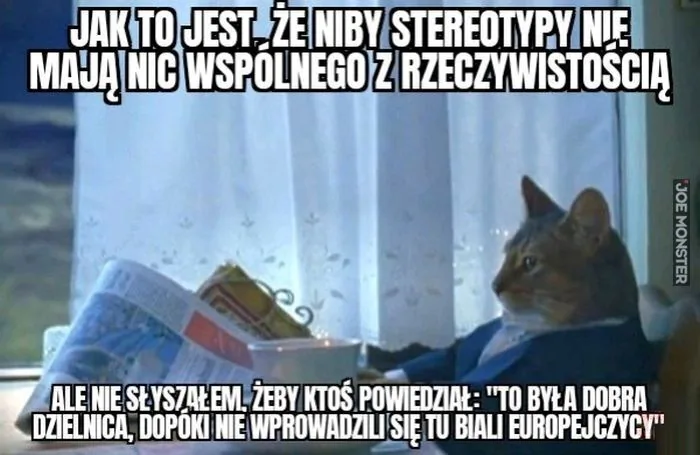 JAK TO JEST, ŻE NIBY STEREOTYPY NIE MAJĄ NIC WSPÓLNEGO Z RZECZYWISTOŚCIĄ ALE NIE SŁYSZAŁEM, ŻEBY KTOŚ POWIEDZIAŁ: "TO BYŁA DOBRA DZIELNICA, DOPÓKI NIE WPROWADZILI SIĘ TU BIALI EUROPEJCZYCY"